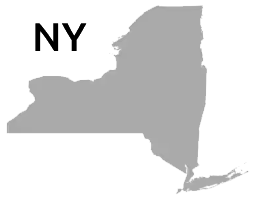 gray silhouette of New York State next to the letters N and Y